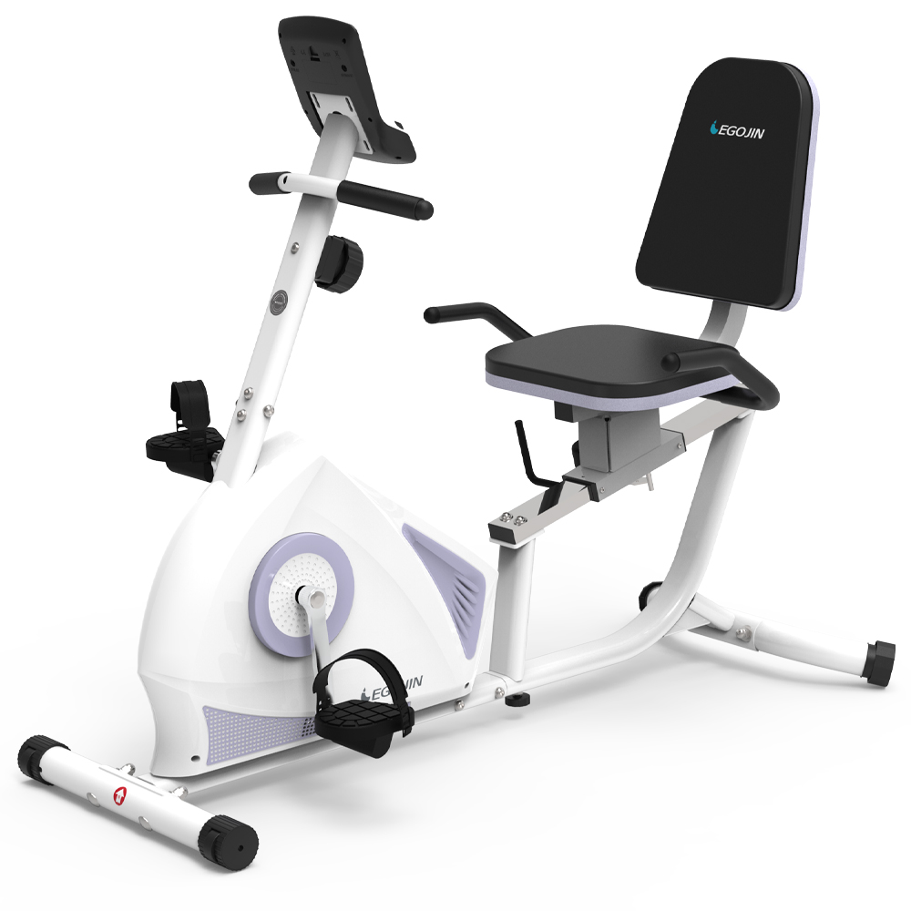 Egojin 704R Recumbent Bike White Lavender
