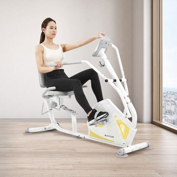 Egojin 704E Cyclone Recumbent Indoor Bike